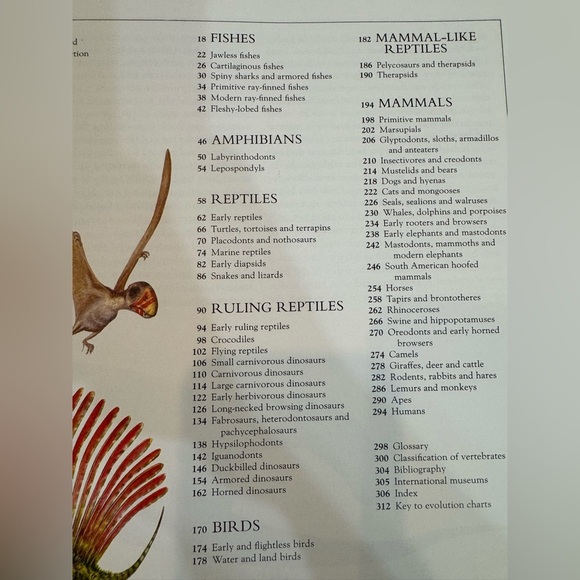 Macmillan Illustrated Encyclopedia of Dinosaurs Children’s Book - Picture 5 of 10